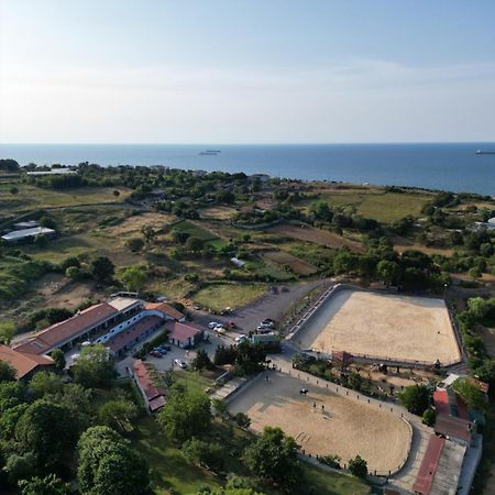 Mavi At Hotel Blue Horse Gumusdere Bagian luar foto