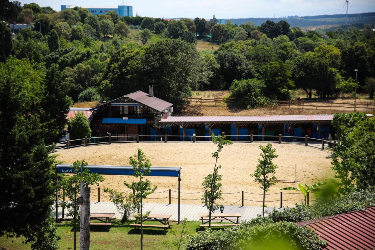 Mavi At Hotel Blue Horse Gumusdere Bagian luar foto