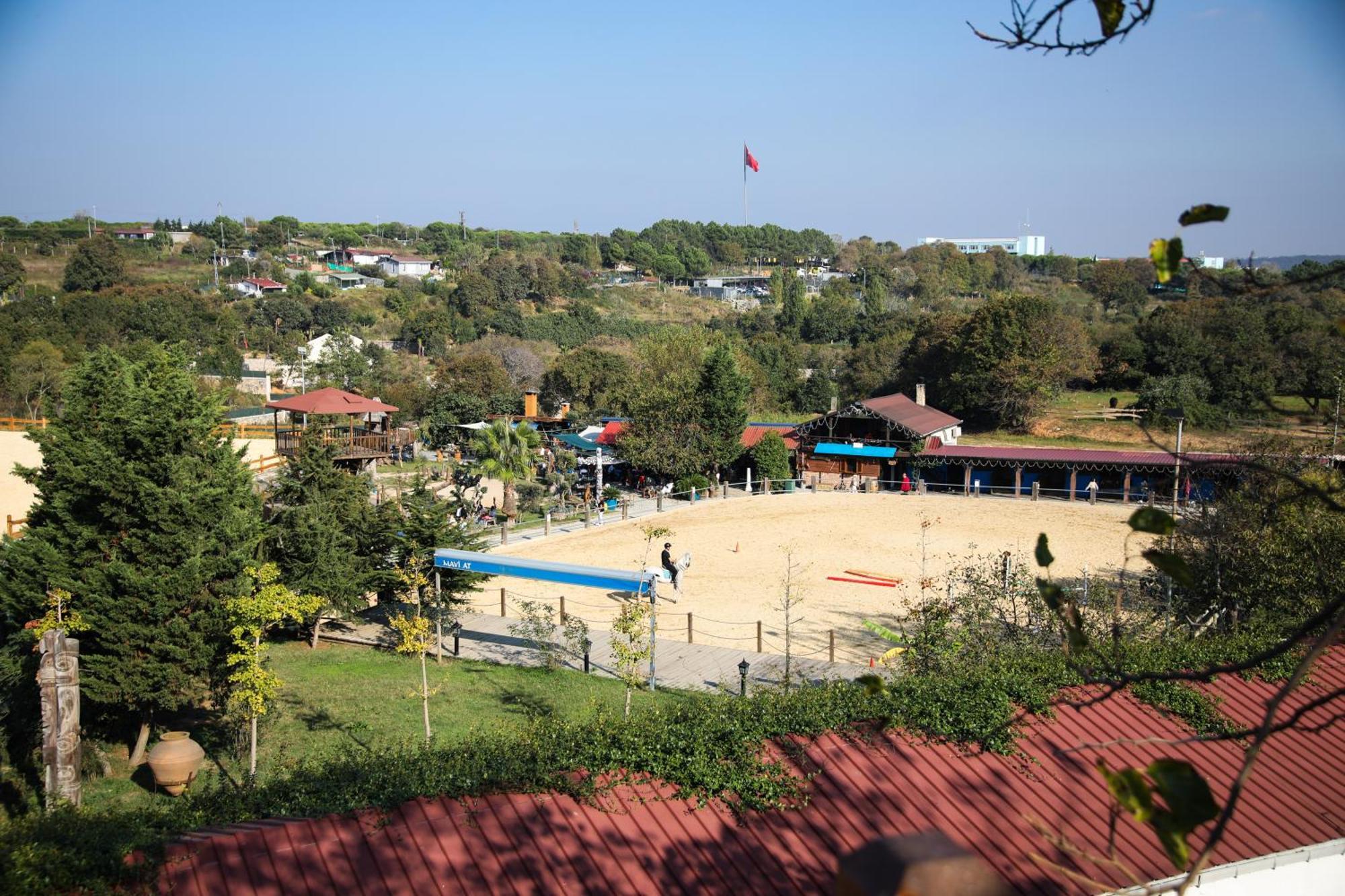 Mavi At Hotel Blue Horse Gumusdere Bagian luar foto