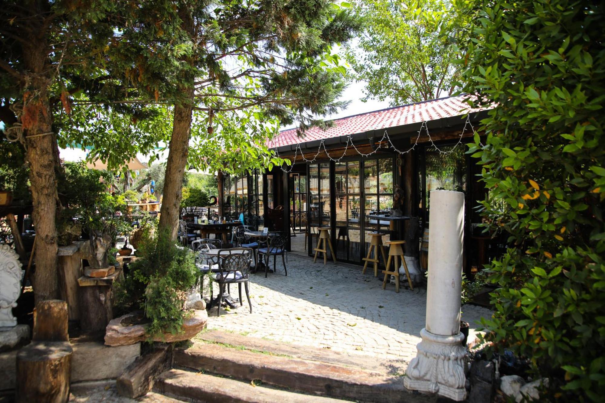 Mavi At Hotel Blue Horse Gumusdere Bagian luar foto
