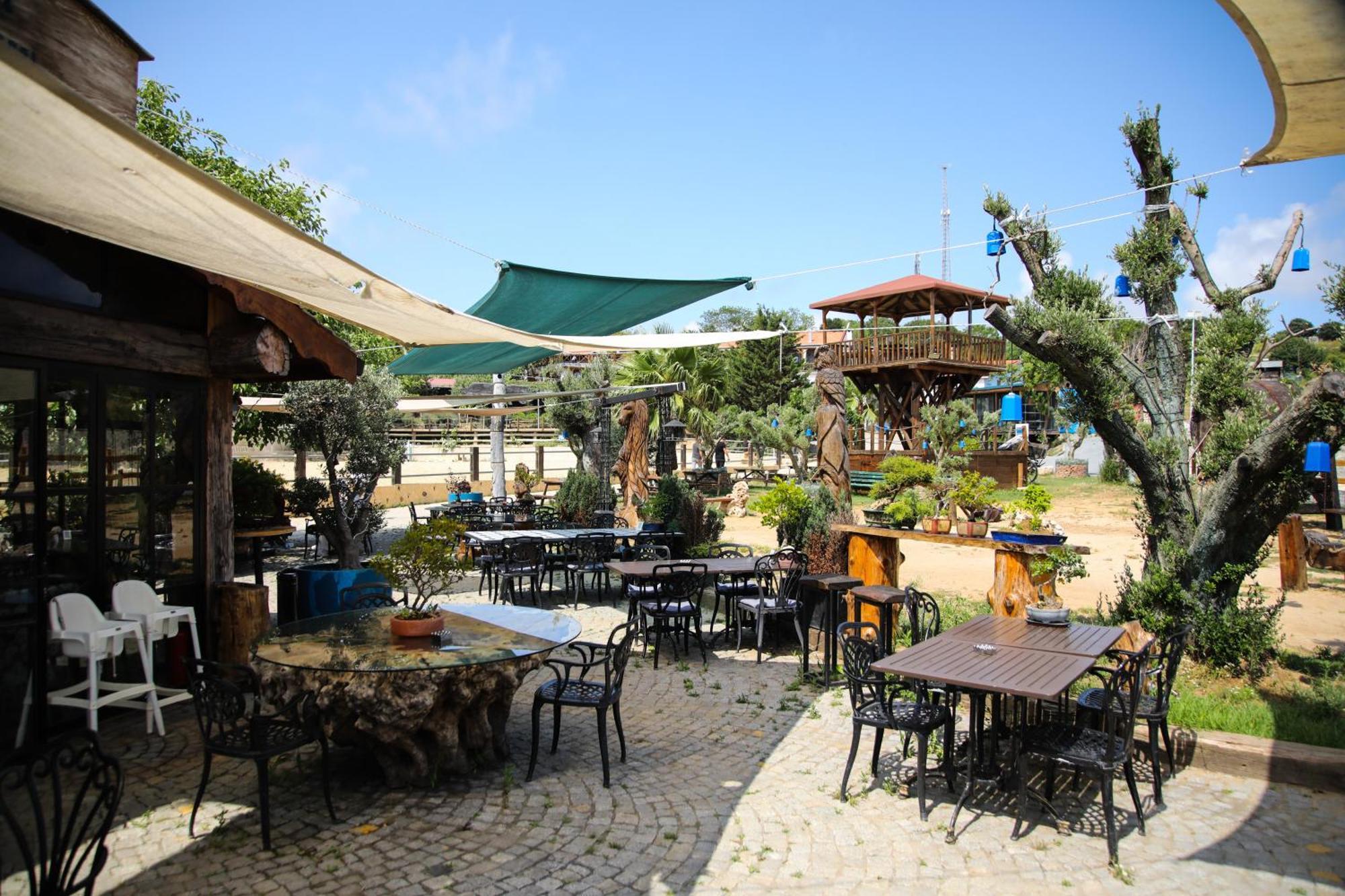 Mavi At Hotel Blue Horse Gumusdere Bagian luar foto