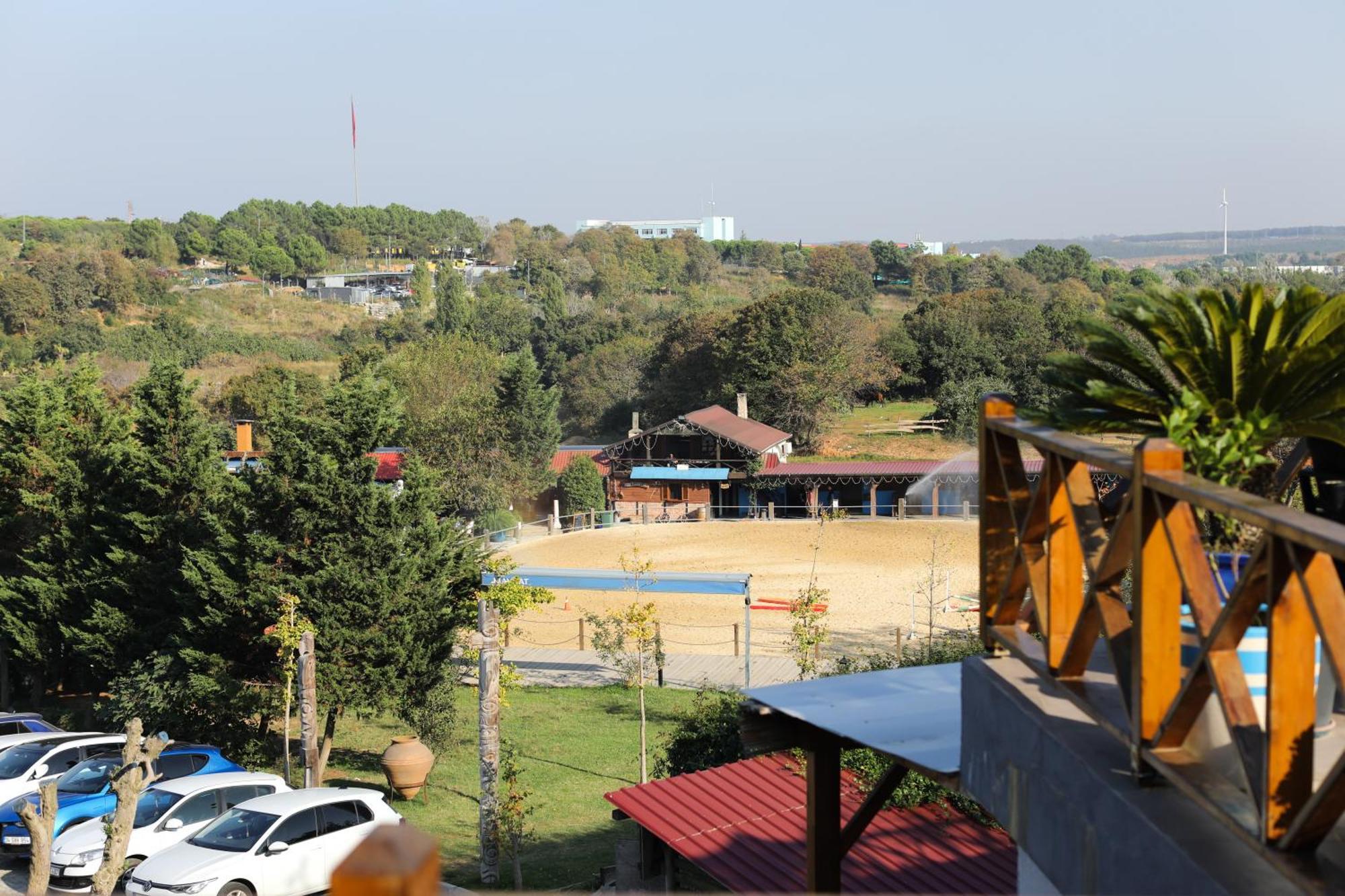 Mavi At Hotel Blue Horse Gumusdere Bagian luar foto