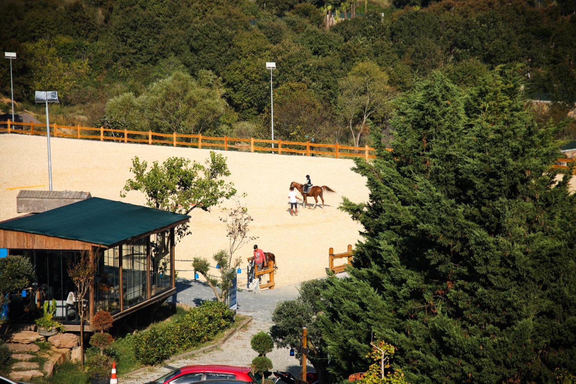 Mavi At Hotel Blue Horse Gumusdere Bagian luar foto