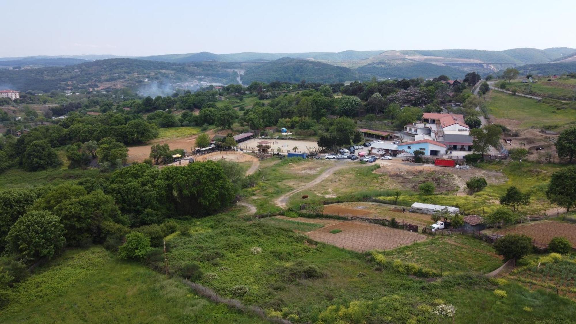 Mavi At Hotel Blue Horse Gumusdere Bagian luar foto