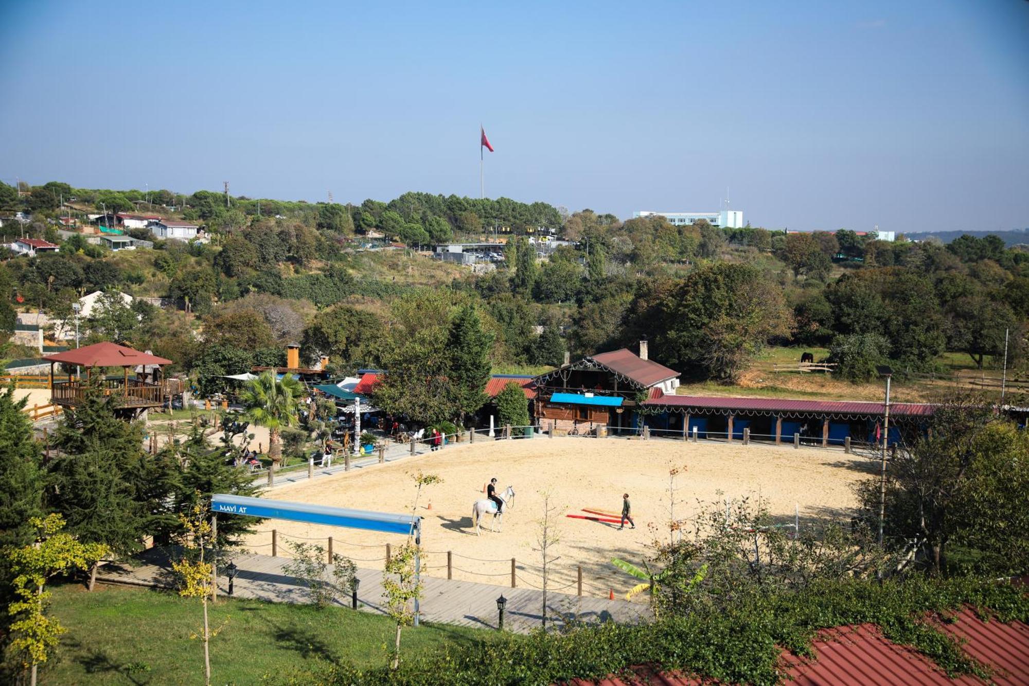 Mavi At Hotel Blue Horse Gumusdere Bagian luar foto