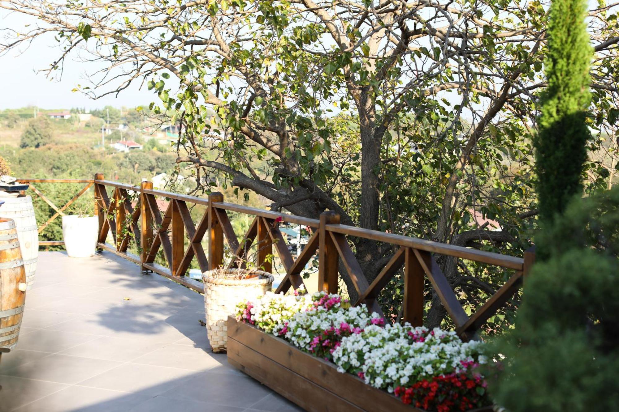 Mavi At Hotel Blue Horse Gumusdere Bagian luar foto
