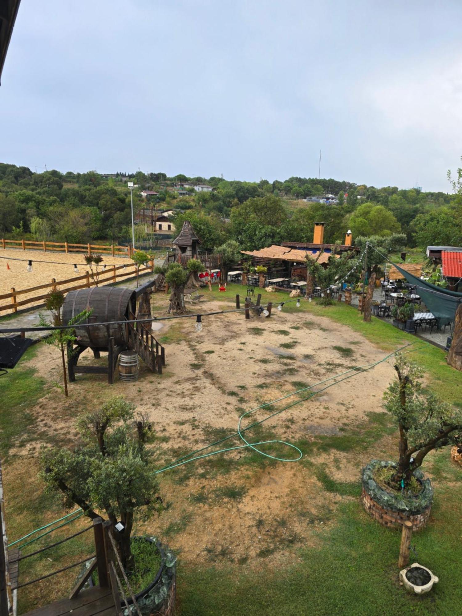 Mavi At Hotel Blue Horse Gumusdere Bagian luar foto